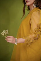 Zarva – Organza Silk Set