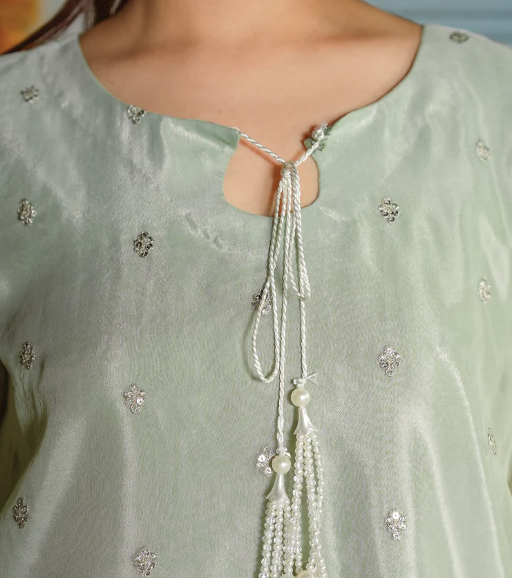 Mint Aura- Embroidered Organza Set