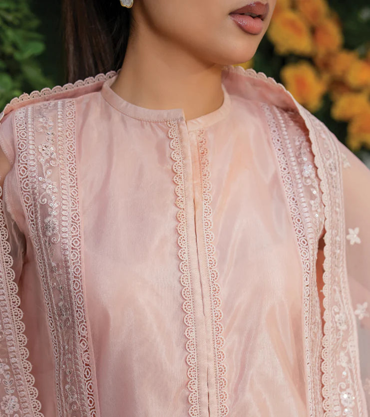 Blush Élan – Embroidered Organza Ensemble