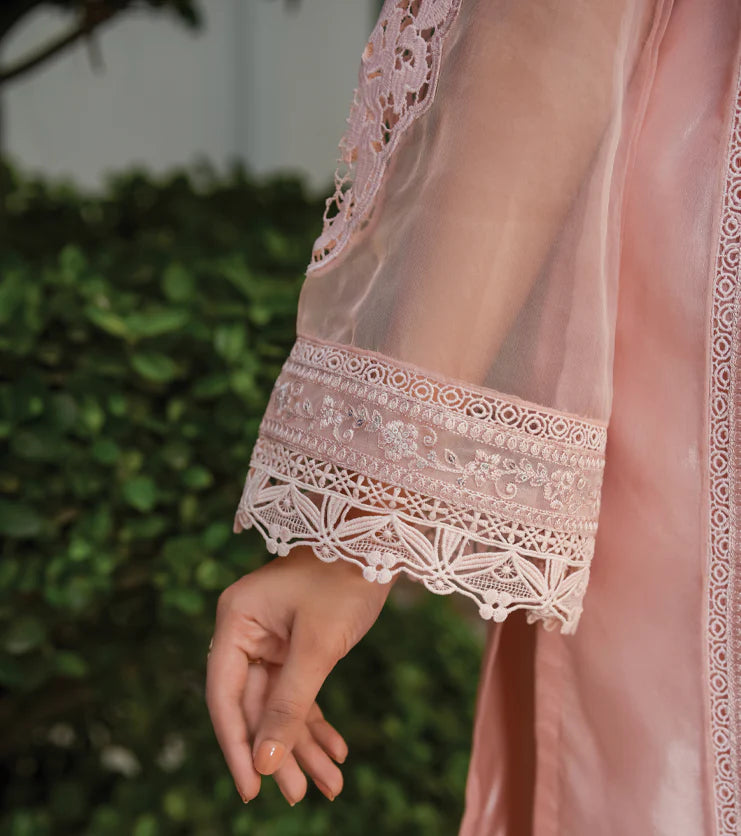 Blush Élan – Embroidered Organza Ensemble