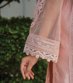 Blush Élan – Embroidered Organza Ensemble