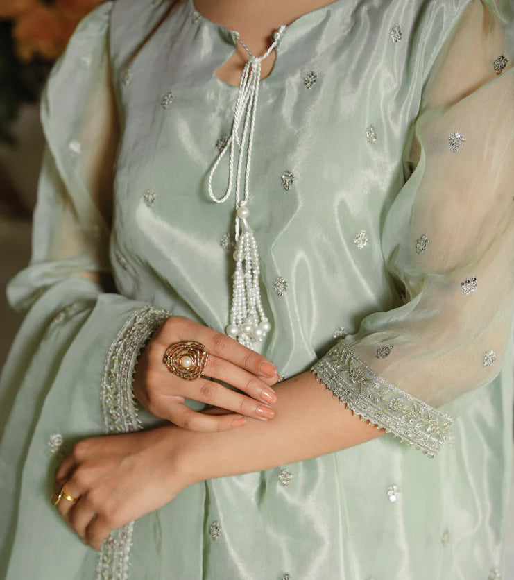 Mint Aura- Embroidered Organza Set