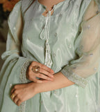 Mint Aura- Embroidered Organza Set