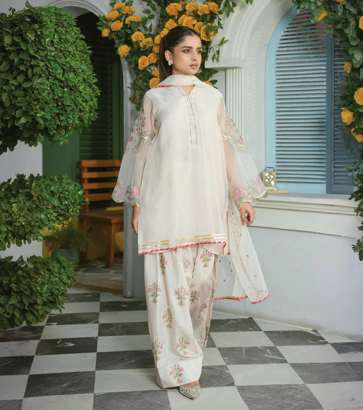 Mehr Noor – Embroidered Organza Ensemble