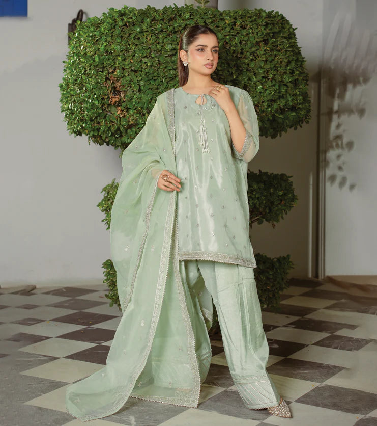 Mint Aura- Embroidered Organza Set
