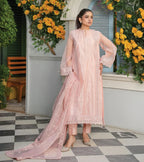 Blush Élan – Embroidered Organza Ensemble