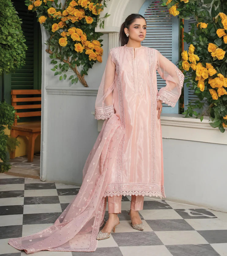Blush Élan – Embroidered Organza Ensemble