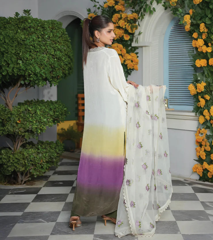 Nooré Ombre – Embroidered Silk Ensemble