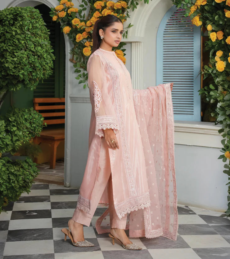 Blush Élan – Embroidered Organza Ensemble