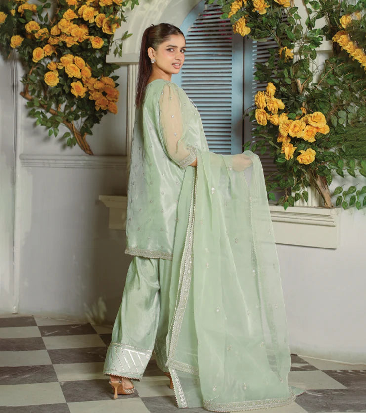 Mint Aura- Embroidered Organza Set