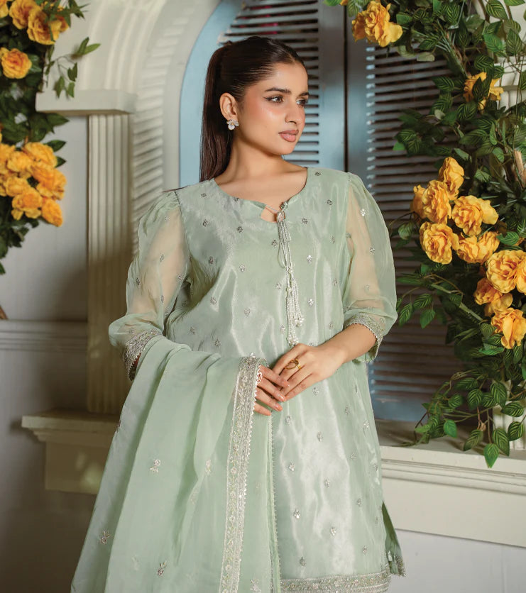 Mint Aura- Embroidered Organza Set