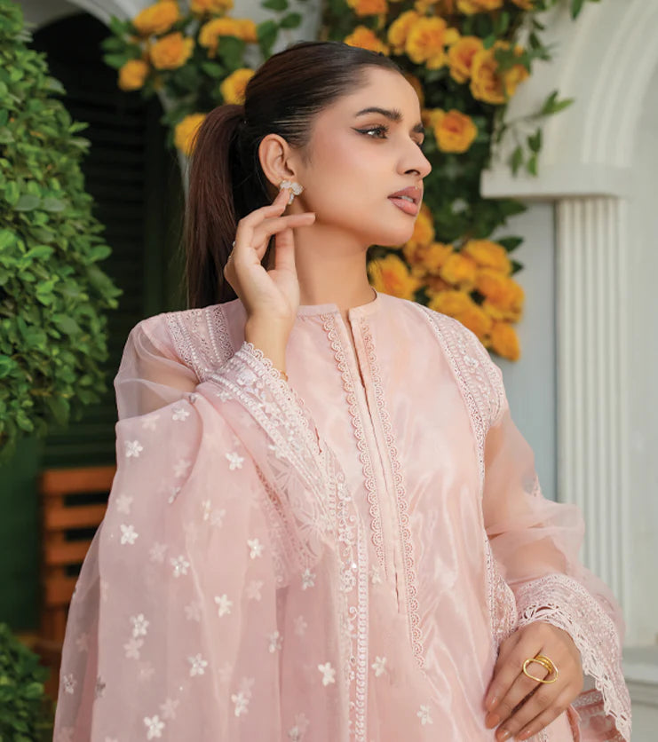 Blush Élan – Embroidered Organza Ensemble