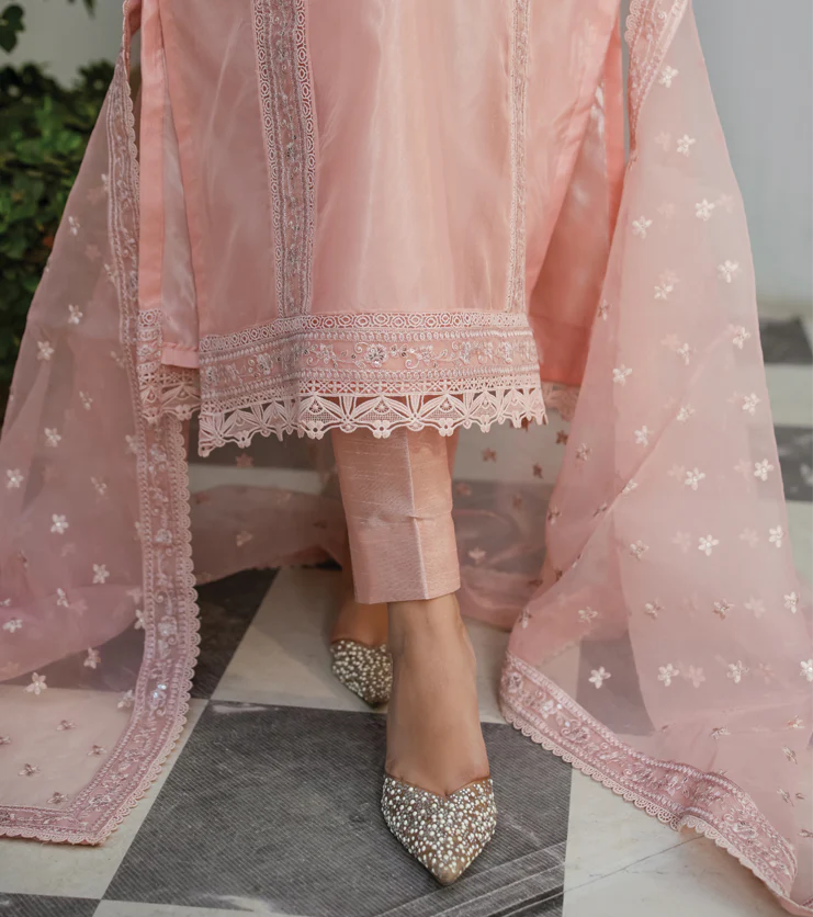 Blush Élan – Embroidered Organza Ensemble