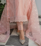Blush Élan – Embroidered Organza Ensemble
